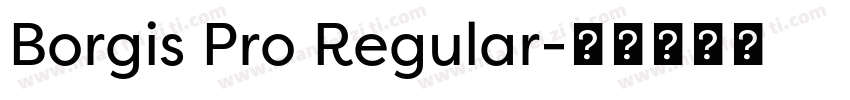 Borgis Pro Regular字体转换